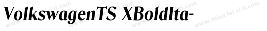 VolkswagenTS XBoldIta字体转换